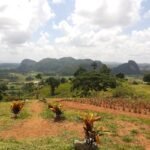 Casas Particulares cuba