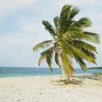 Alojamientos Económicos en Cuba