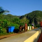 Casas Particulares cuba