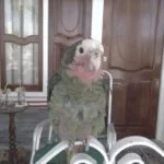 El Hostal de Carballo