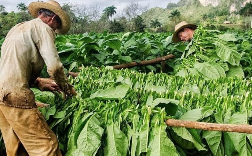 Ciudad Pinar del Rio