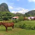 Casas Particulares en Cuba