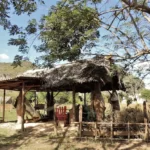 Casas Particulares en Cuba