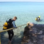 Casas Particulares cuba