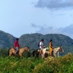 Casas Particulares en Cuba