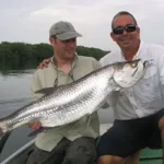 Casas Particulares Cuba