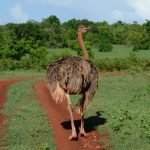 Casas Particulares Cuba