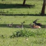 Casas Particulares Cuba