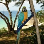 Casas Particulares Cuba