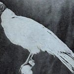 Alojamientos Económicos en Cuba