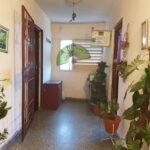 Qué hacer en el callejón de Hamel