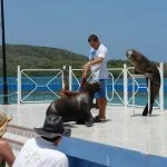 Alojamientos Económicos en Cuba
