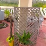 Casas Particulares cuba