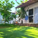 Casas Particulares cuba