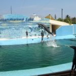 Alojamientos Económicos en Cuba