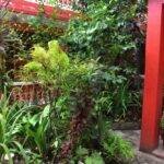 La Casa Grande Baracoa