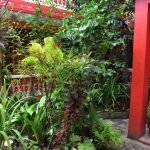 Alojamientos Económicos en Cuba