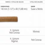 Casas Particulares Cuba