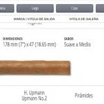 Casas Particulares Cuba