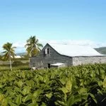 Casas Particulares Cuba