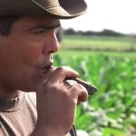 Casas Particulares Cuba