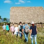 Casas Particulares en Pinar del Río