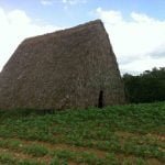 Casa Particular cuba