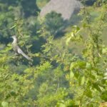 Casas Particulares cuba