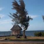 Casas Particulares cuba