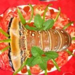 Casas Particulares cuba