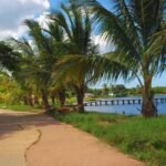 Casas Particulares cuba