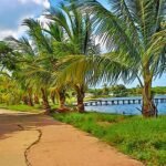 Casas Particulares Puerto Esperanza