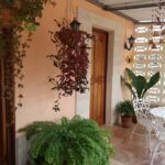 Casas Particulares cuba
