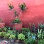 Casas Particulares cuba