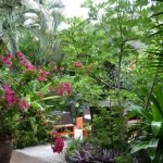 Casas Particulares en Cuba