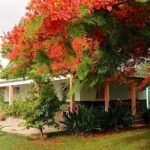 Casas Particulares cuba