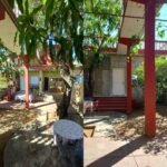 Casas Particulares cuba