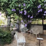 Casas Particulares en Cuba