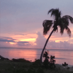 Casas Particulares cuba