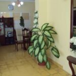 Casas Particulares cuba