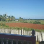 Casas Particulares cuba