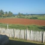 Casas Particulares cuba