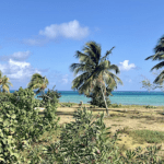 Casas Particulares cuba