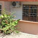 Casas Particulares cuba