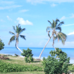 Casas Particulares cuba