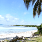 Casas Particulares cuba