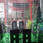 Casas Particulares cuba