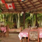 Aurelia Freddy & Mary