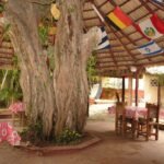 Casas Particulares cuba