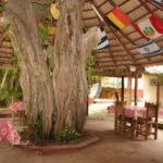 Casas Particulares cuba
